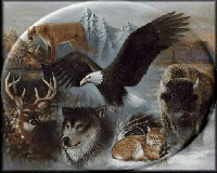 allcreatures.gif (30368 bytes)