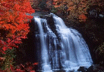 falls2.gif (16254 bytes)