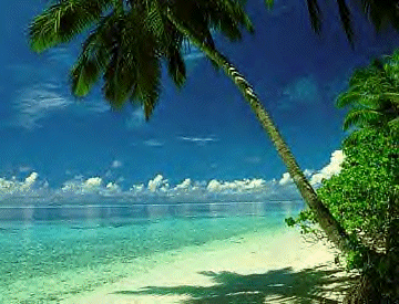 myisland.gif (69913 bytes)