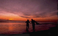 page4c.gif (16025 bytes)