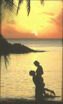 tropicalcouple.gif (50829 bytes)