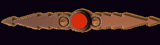winnerbar.gif (11268 bytes)